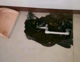 金寨卫生间测漏水多少钱